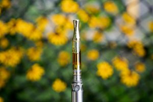 best thc vapes