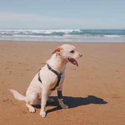Guía para elegir un curso de mascotas y nutrición animal