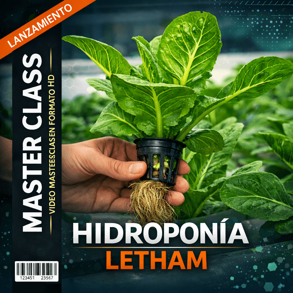 Portada oficial del curso Hidroponía Letham — Letham Perú