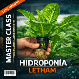 Portada oficial del curso Hidroponía Letham — Letham Perú